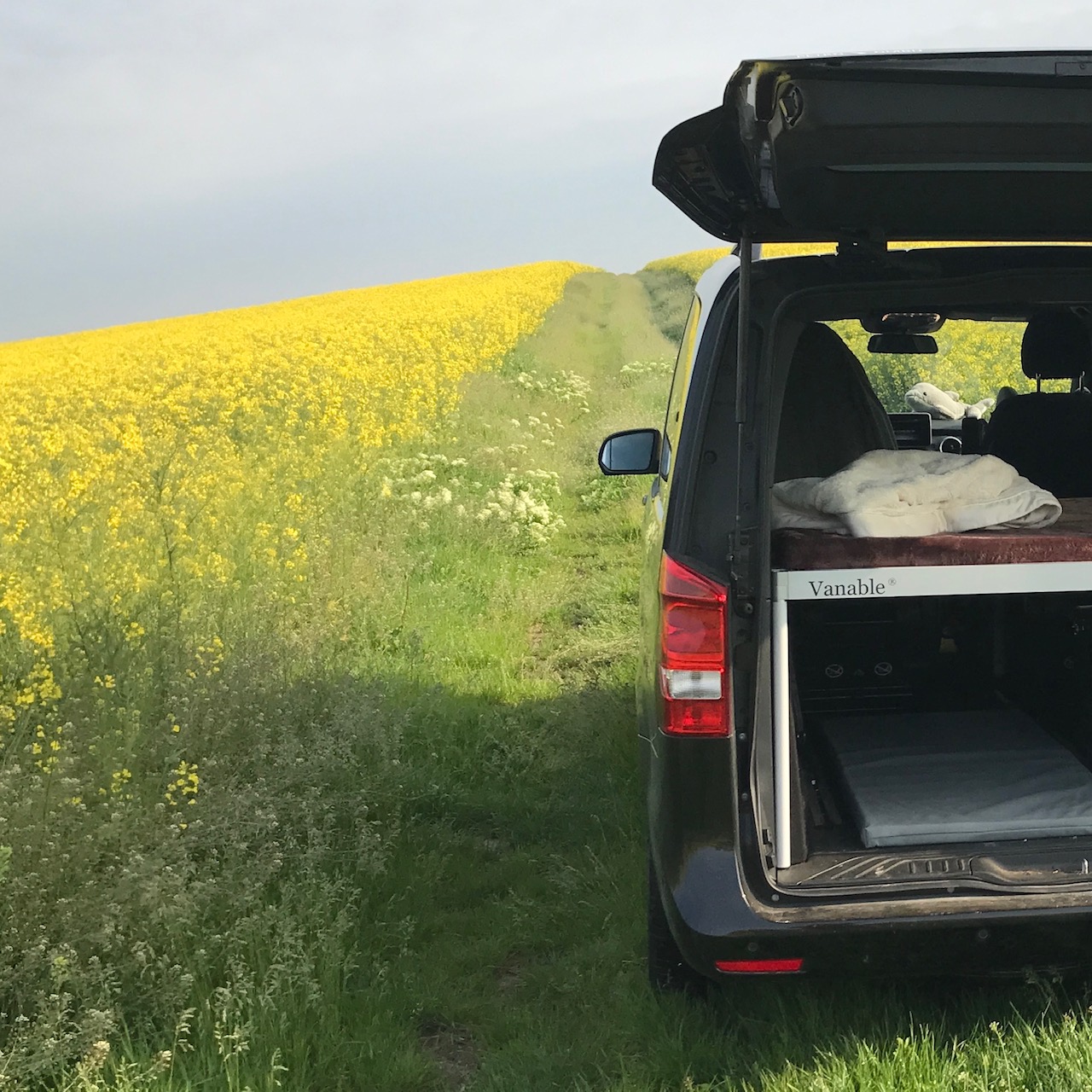 Vanable in der V Klasse bei den Preisen 5