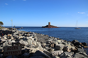 IMG 2786